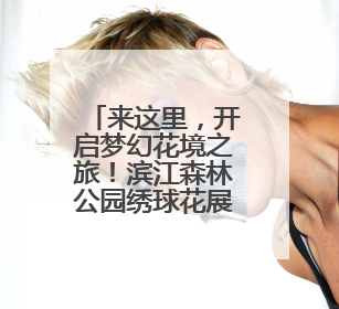 来这里，开启梦幻花境之旅！滨江森林公园绣球花展邀你共赴一场与云朵、花儿的浪漫之约