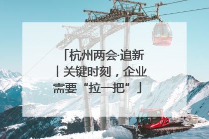 杭州两会·追新丨关键时刻，企业需要“拉一把”