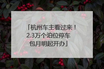 杭州车主看过来！2.3万个泊位停车包月明起开办
