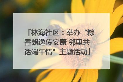 林海社区：举办“粽香飘逸传安康 邻里共话端午情”主题活动