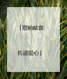 撸袖献血 传递爱心
