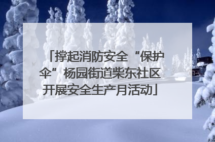 撑起消防安全“保护伞”杨园街道柴东社区开展安全生产月活动