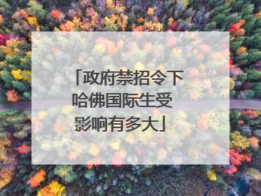 政府禁招令下 哈佛国际生受影响有多大