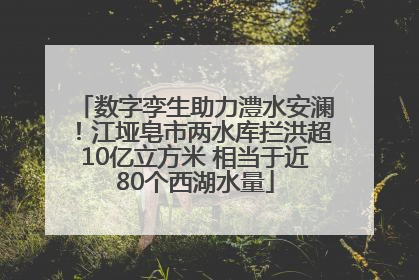 数字孪生助力澧水安澜！江垭皂市两水库拦洪超10亿立方米 相当于近80个西湖水量