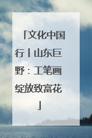 文化中国行丨山东巨野：工笔画绽放致富花