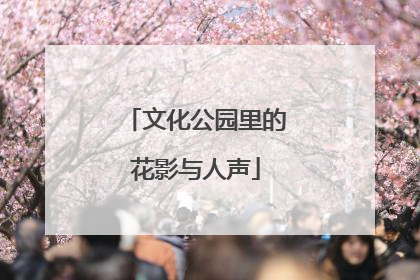 文化公园里的花影与人声