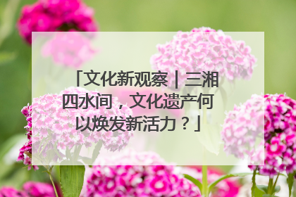 文化新观察｜三湘四水间，文化遗产何以焕发新活力？