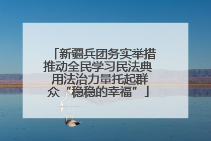 新疆兵团务实举措推动全民学习民法典 用法治力量托起群众“稳稳的幸福”