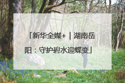 新华全媒+｜湖南岳阳：守护碧水迎蝶变