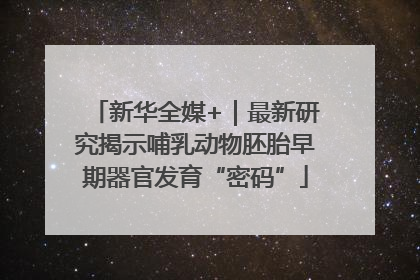 新华全媒+｜最新研究揭示哺乳动物胚胎早期器官发育“密码”