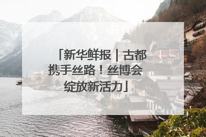 新华鲜报｜古都携手丝路！丝博会绽放新活力