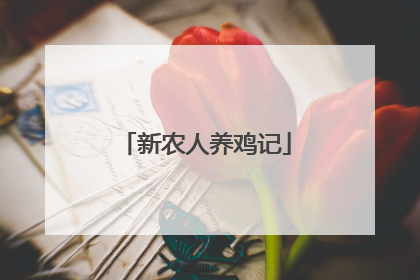 新农人养鸡记