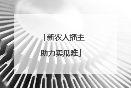 新农人播主 助力卖瓜难