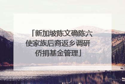新加坡陈文确陈六使家族后裔返乡调研侨捐基金管理
