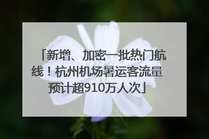 新增、加密一批热门航线！杭州机场暑运客流量预计超910万人次