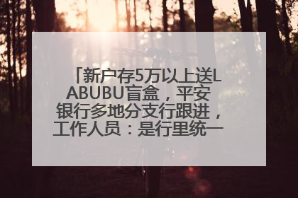 新户存5万以上送LABUBU盲盒，平安银行多地分支行跟进，工作人员：是行里统一的，进货渠道不清楚