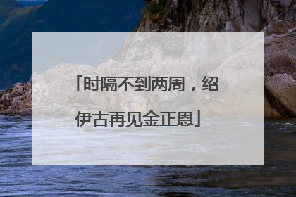 时隔不到两周，绍伊古再见金正恩