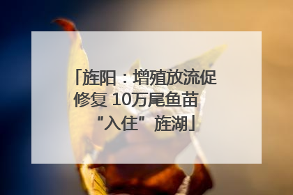 旌阳：增殖放流促修复 10万尾鱼苗“入住”旌湖