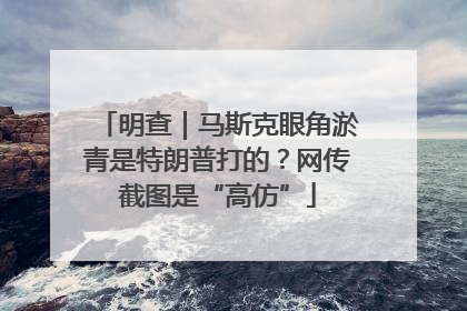 明查｜马斯克眼角淤青是特朗普打的？网传截图是“高仿”
