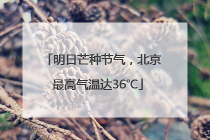 明日芒种节气，北京最高气温达36℃