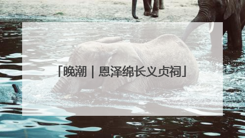 晚潮｜恩泽绵长义贞祠