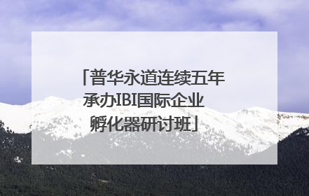 普华永道连续五年承办IBI国际企业孵化器研讨班