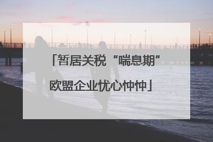 暂居关税“喘息期” 欧盟企业忧心忡忡