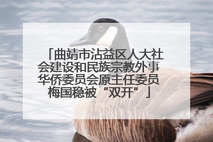 曲靖市沾益区人大社会建设和民族宗教外事华侨委员会原主任委员梅国稳被“双开”
