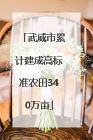 武威市累计建成高标准农田340万亩