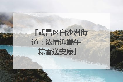 武昌区白沙洲街道：浓情迎端午 粽香送安康