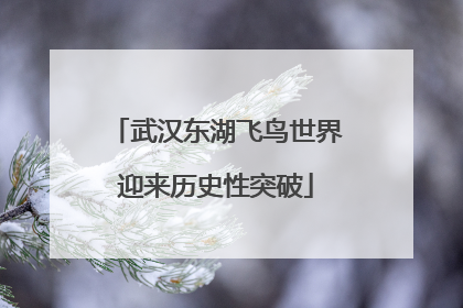武汉东湖飞鸟世界迎来历史性突破