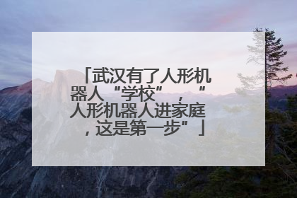 武汉有了人形机器人“学校”，“人形机器人进家庭，这是第一步”