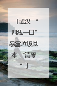 武汉 “四线一口”暴露垃圾基本 “清零”