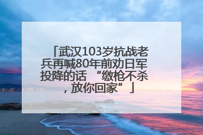 武汉103岁抗战老兵再喊80年前劝日军投降的话 “缴枪不杀，放你回家”