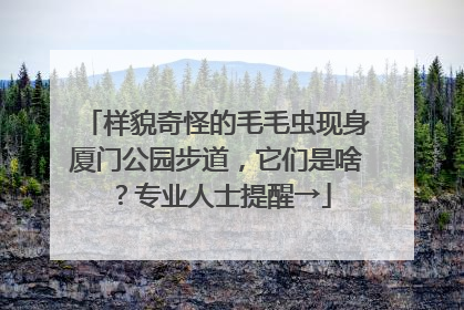样貌奇怪的毛毛虫现身厦门公园步道，它们是啥？专业人士提醒→