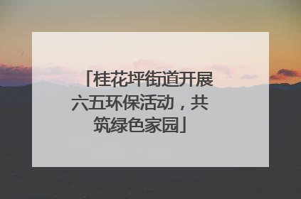 桂花坪街道开展六五环保活动，共筑绿色家园