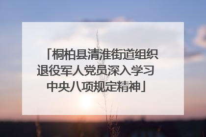 桐柏县清淮街道组织退役军人党员深入学习中央八项规定精神