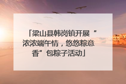 梁山县韩岗镇开展“浓浓端午情，悠悠粽意香”包粽子活动