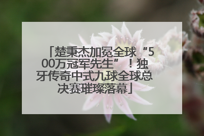 楚秉杰加冕全球“500万冠军先生”！独牙传奇中式九球全球总决赛璀璨落幕