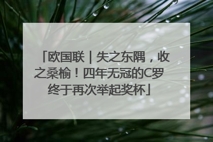 欧国联｜失之东隅，收之桑榆！四年无冠的C罗终于再次举起奖杯