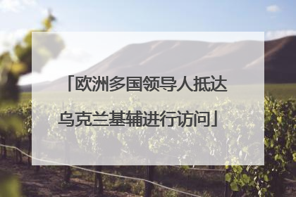 欧洲多国领导人抵达乌克兰基辅进行访问