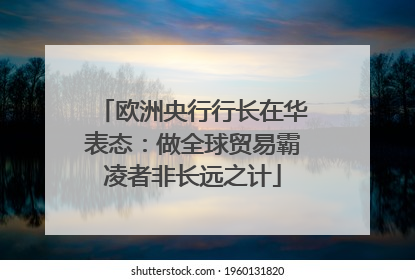 欧洲央行行长在华表态：做全球贸易霸凌者非长远之计