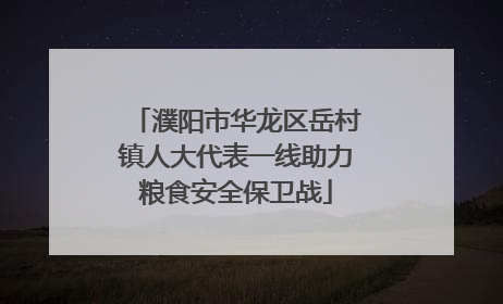 濮阳市华龙区岳村镇人大代表一线助力粮食安全保卫战