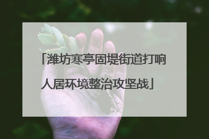 潍坊寒亭固堤街道打响人居环境整治攻坚战