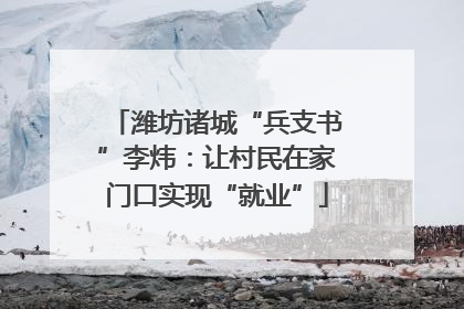 潍坊诸城“兵支书”李炜：让村民在家门口实现“就业”