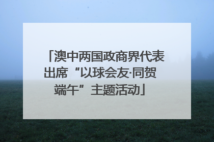 澳中两国政商界代表出席“以球会友·同贺端午”主题活动