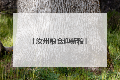 汝州粮仓迎新粮