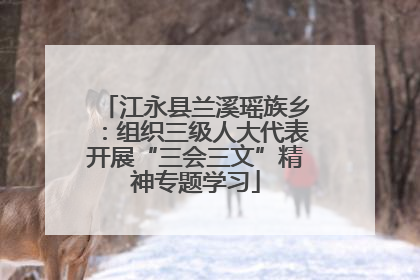 江永县兰溪瑶族乡：组织三级人大代表开展“三会三文”精神专题学习