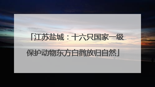 江苏盐城：十六只国家一级保护动物东方白鹳放归自然