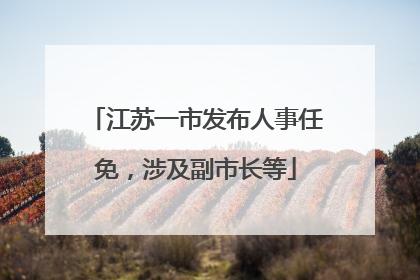 江苏一市发布人事任免，涉及副市长等
